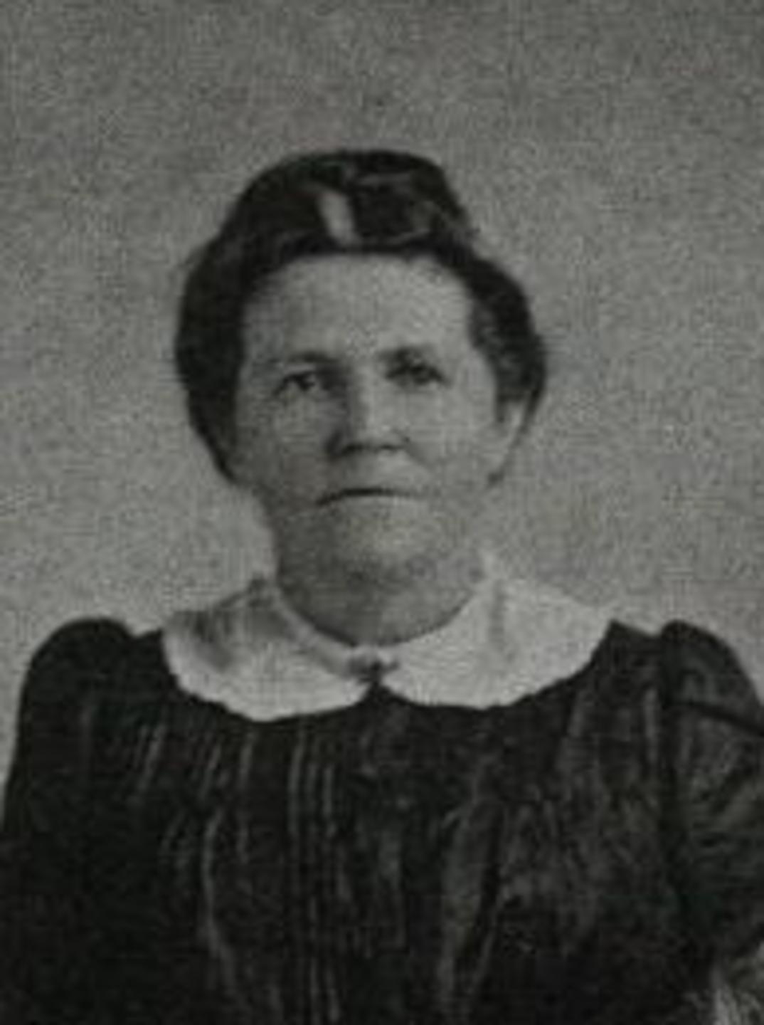 Sarah Ann Watson (1859 - 1933) Profile